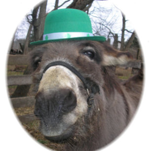 Jeu De Cartes "Que regardez-vous ?"