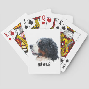 Jeu De Cartes Quoi ? Berese Mountain Dog