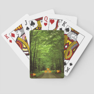 Jeu De Cartes Racoon Playing Card Deck