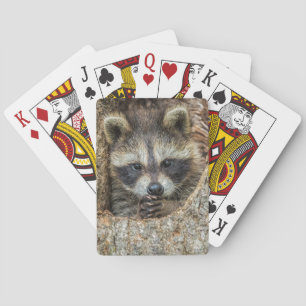 Jeu De Cartes Raton laveur niché à l'intérieur d'un creux d'arbr