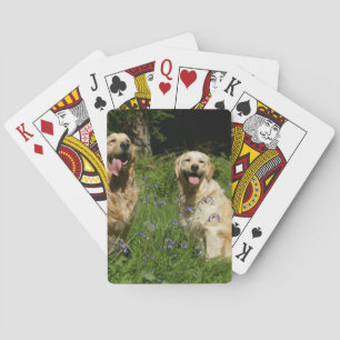 Jeu De Cartes Récipiendaires en or en herbe