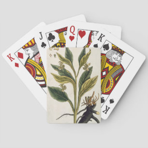 Jeu De Cartes Red Chili (gravure couleur)