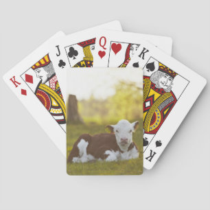 Jeu De Cartes Repos de veau