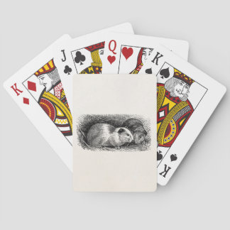Jeu De Cartes Rétros Cavies de 1800s d'illustration vintage de