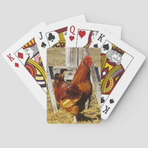 Jeu De Cartes Rhode Island Red Rooster