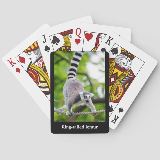 Jeu De Cartes Ring-tailed lemur (dos)