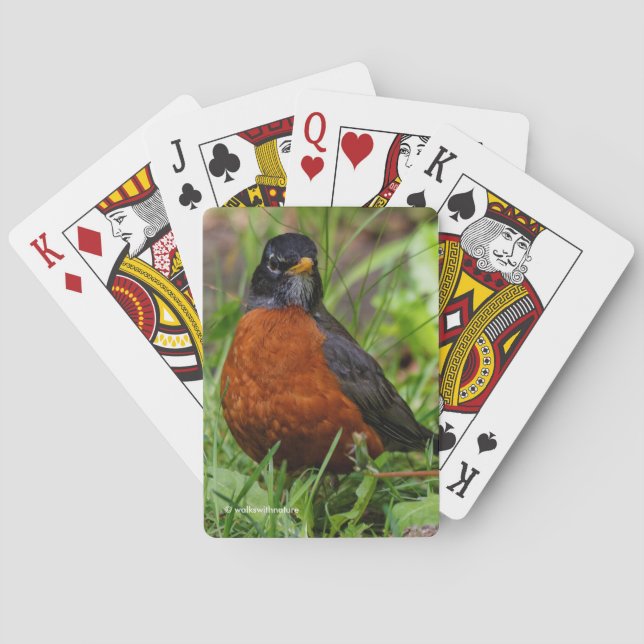 Jeu De Cartes Robin américain curieux en vert (dos)