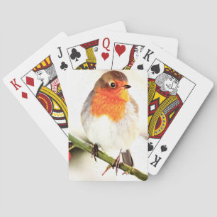 Jeu De Cartes Robin Américain En Neige