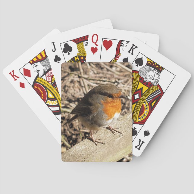 JEU DE CARTES ROBINS (dos)