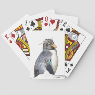 Jeu De Cartes Rockhopper Penguin Jouer aux cartes