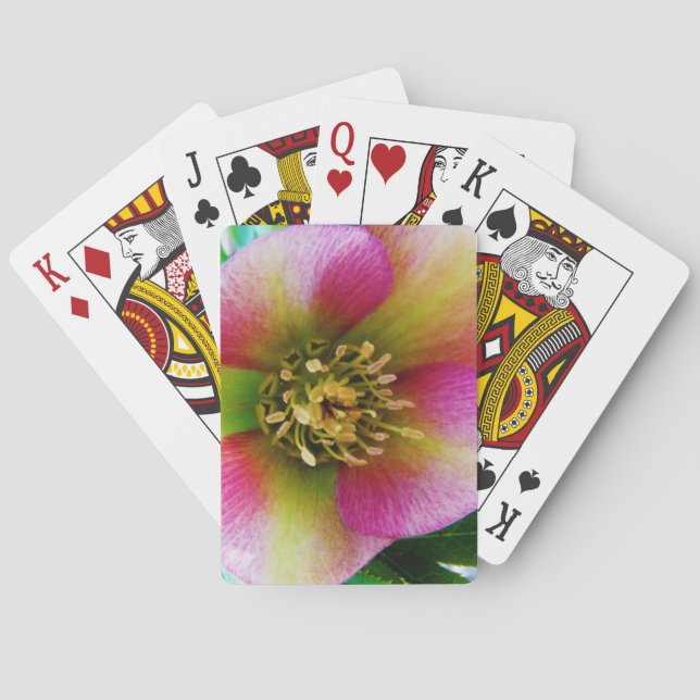 Jeu De Cartes Rose de carême rose, (dos)