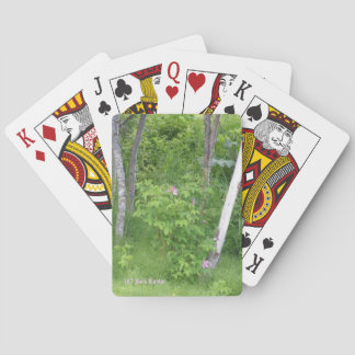 Jeu De Cartes Rose de l'Alaska #16