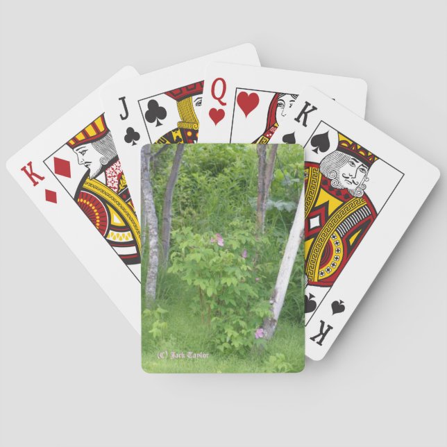 Jeu De Cartes Rose de l'Alaska #16 (dos)