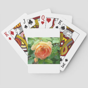 Jeu De Cartes Rose orange
