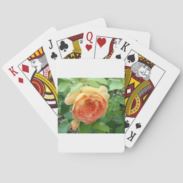 Jeu De Cartes Rose orange (dos)