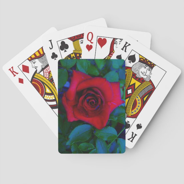 Jeu De Cartes Roses rouges aux tons bleus (dos)