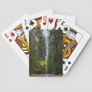 Jeu De Cartes Route Directe À Travers La Forêt De Redwood Misty