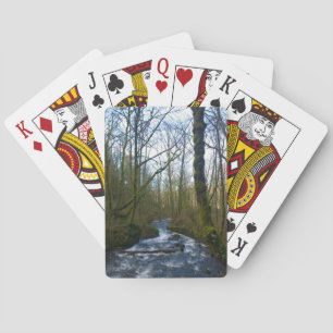 Jeu De Cartes Runoff from Bridal Veil Falls
