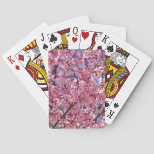 Jeu De Cartes Sakura Pink Cherry Blossom Sky