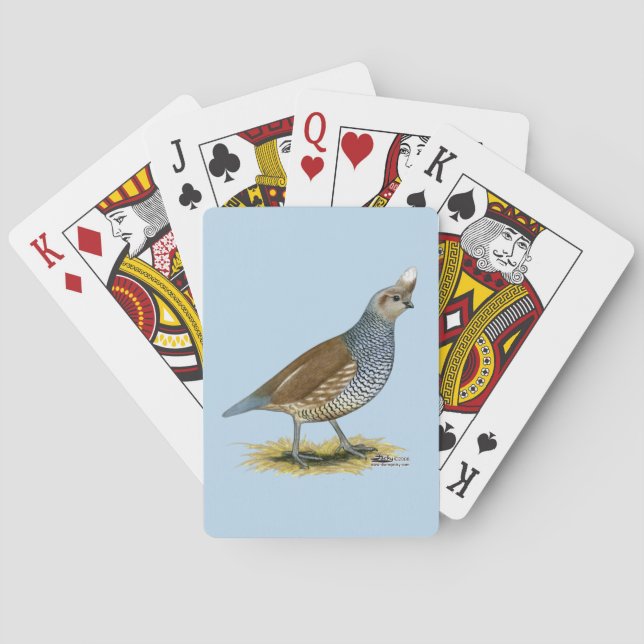 Jeu De Cartes Scaled Quail (dos)