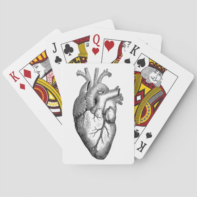 Jeu De Cartes Science de l'anatomie cardiaque (dos)