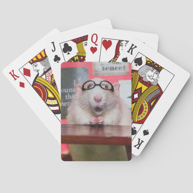 Jeu De Cartes Science Milo Jouer aux cartes  (dos)