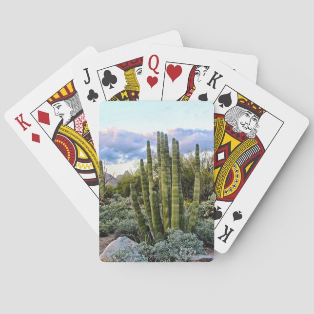 Jeu De Cartes Scottsdale Succulent Sunset (dos)