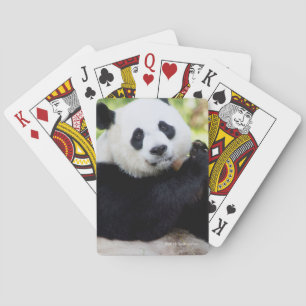 Jeu De Cartes Séance de panda géant