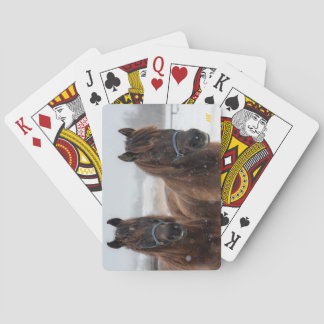 Jeu De Cartes Secourt Cheval AHT