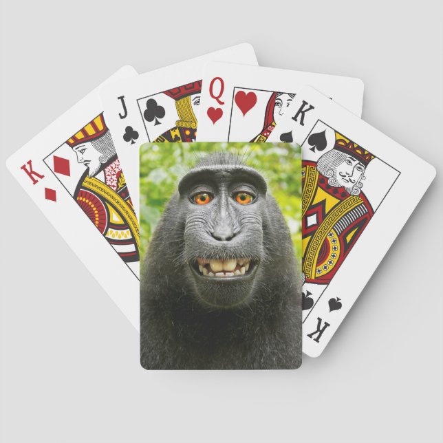 Jeu De Cartes Selfie singe (dos)