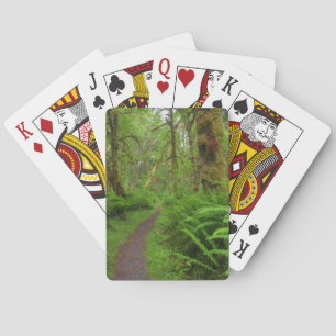Jeu De Cartes sentier Maple Glade, fougères et mousses couvrent