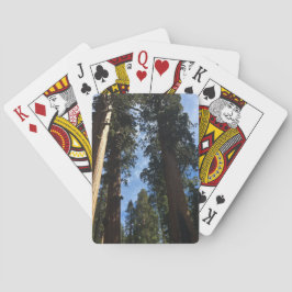 Jeu De Cartes Séquoia géante