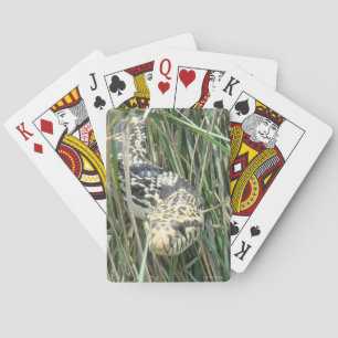 Jeu De Cartes Serpent à taureaux R4 dans l'herbe