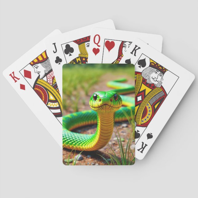 Jeu De Cartes Serpent vert (dos)