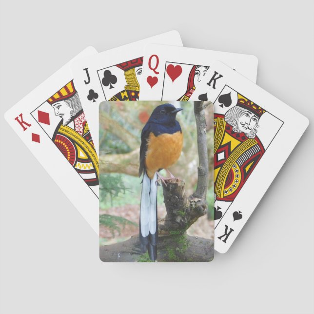 Jeu De Cartes Shama Bird mâle à rames blanches (dos)