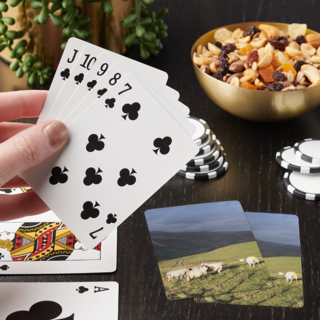 JEU DE CARTES SHEEP DE MONTAGNE (In Situ)