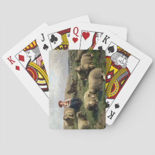 Jeu De Cartes Shepherdess with Sheep in a Landscape