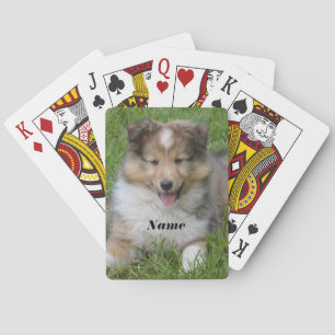 Jeu De Cartes Shetland Sheepdog - Shelter Puppy Dog