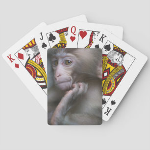 Jeu De Cartes Singe de bébé
