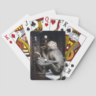 Jeu De Cartes Singe souriant
