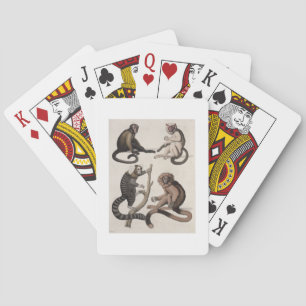 Jeu De Cartes Singes (litho couleur)