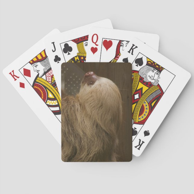Jeu De Cartes Sloth (dos)
