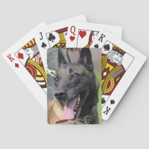 Jeu De Cartes Smiling