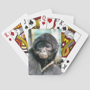 JEU DE CARTES SPIDER MONKEY