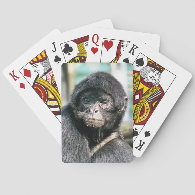 JEU DE CARTES SPIDER MONKEY (dos)