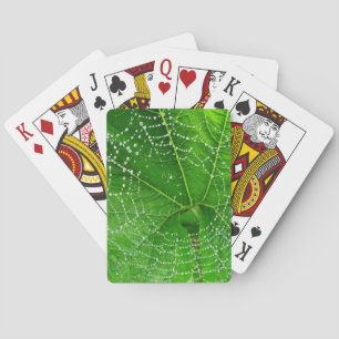 Jeu De Cartes Spider Web Classic Playing Cartes