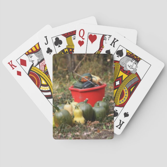 Jeu De Cartes Squash Country Garden Harvest Orton (dos)