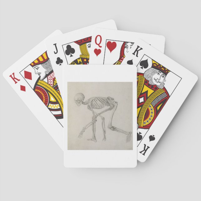 Jeu De Cartes Squelette humain: view latérale dans Crouching Pos (dos)