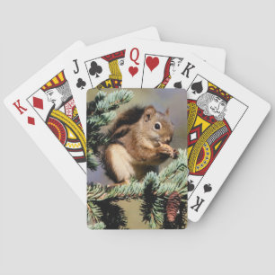 Jeu De Cartes Squirell Jouer Aux Cartes
