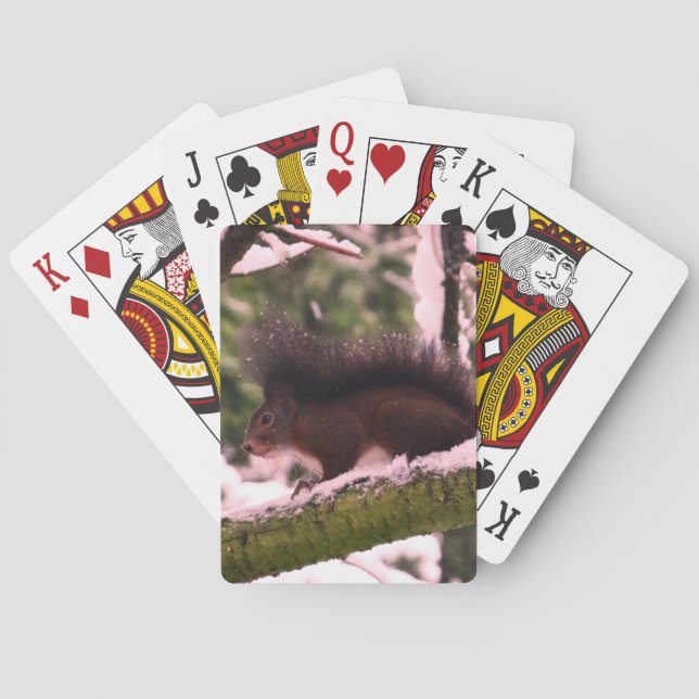 Jeu De Cartes Squirrel Winter Photo Classic Playing Cards (dos)